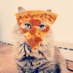 A cat with pizza on its face