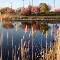 lagoon at Northside Park OCMD