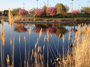 lagoon at Northside Park OCMD